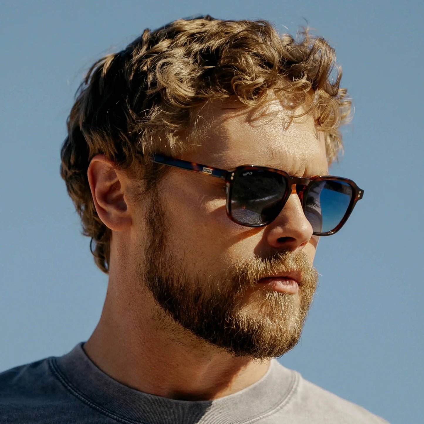 Francis Polarized Sunglasses – Brown Tortoise