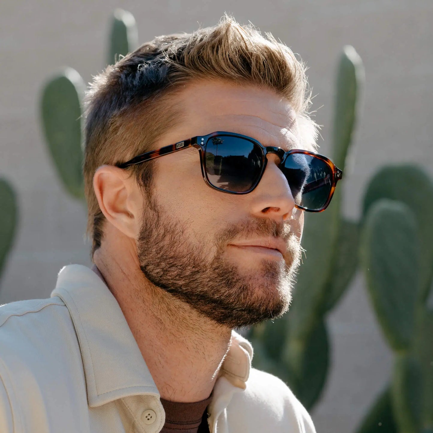 Francis Polarized Sunglasses – Brown Tortoise