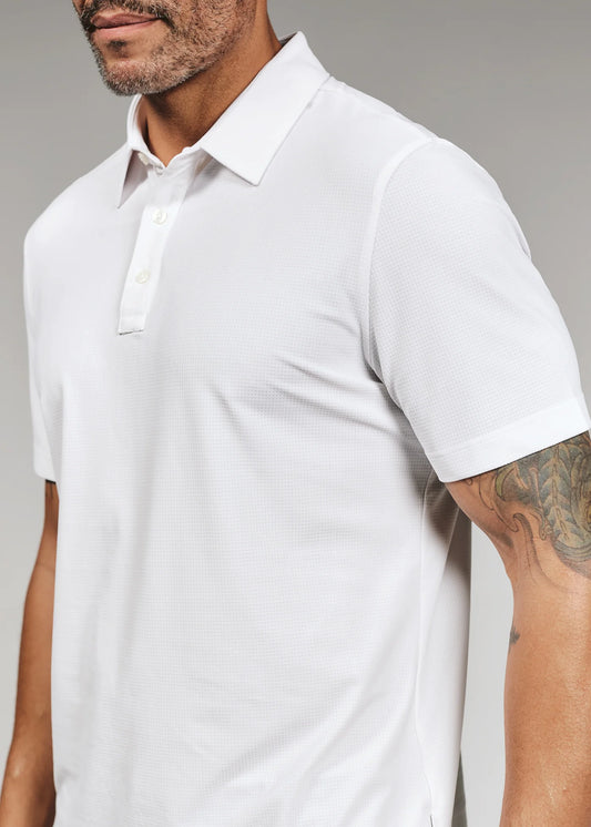 Roswell Polo