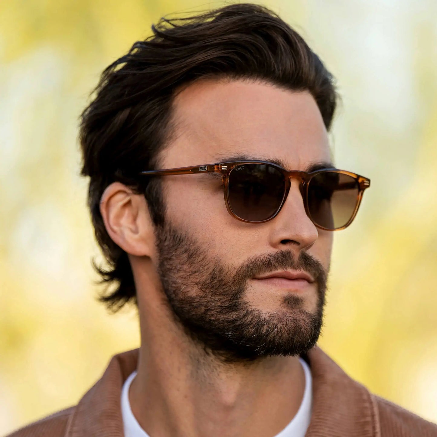 Model wearing WMP Eyewear Nick sunglasses in crystal brown