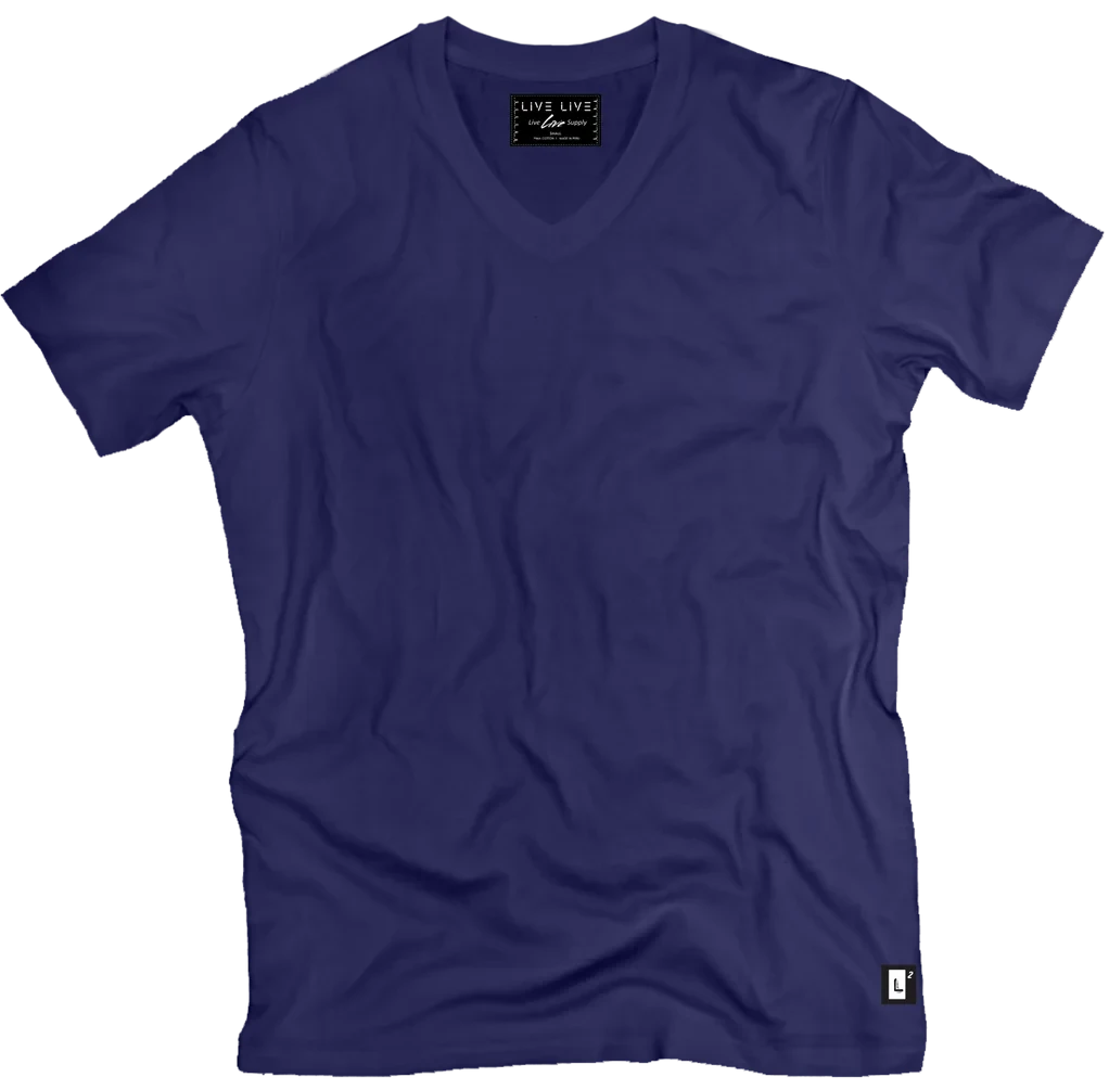 Pima Cotton V-Neck T-Shirt – Brooklyn Blue