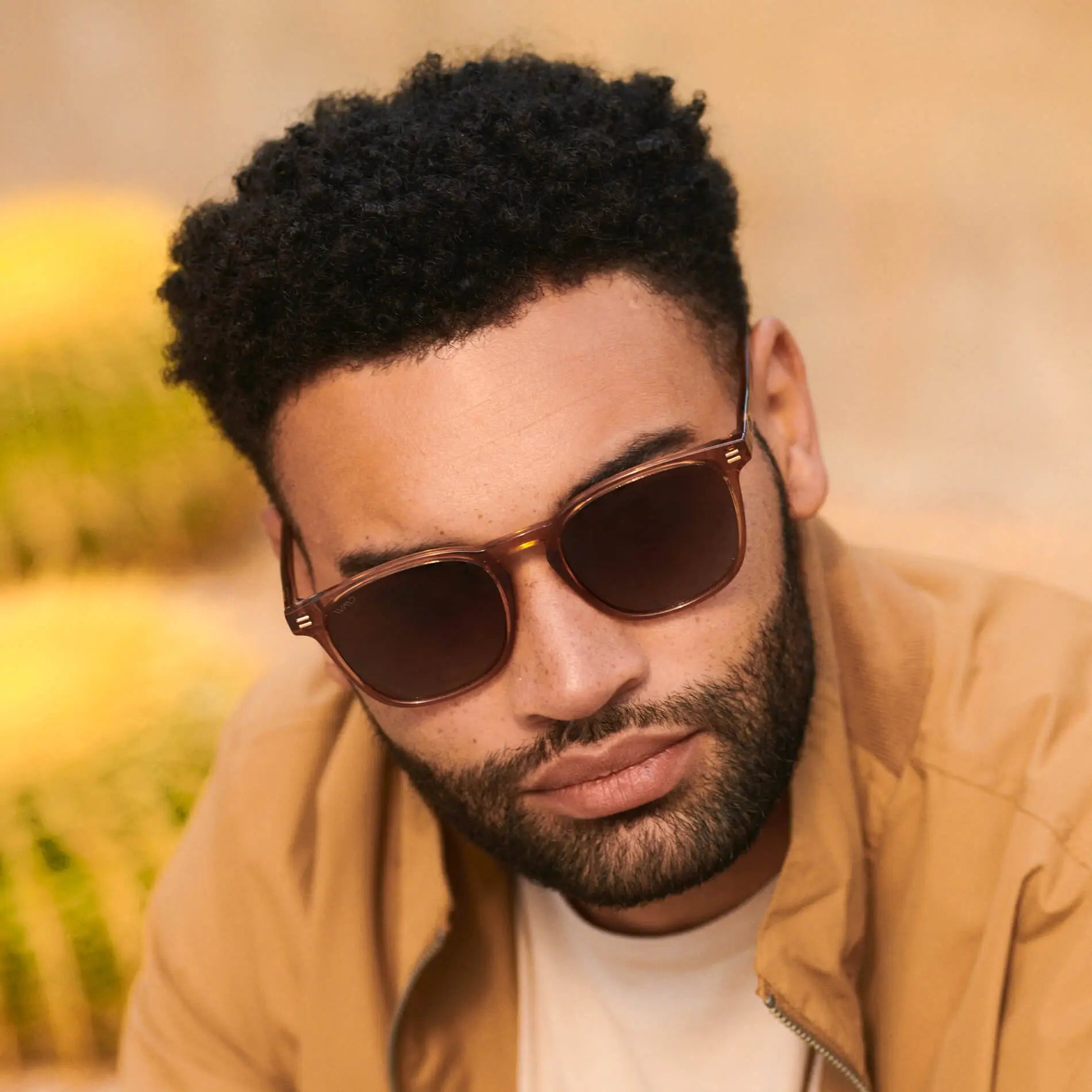 Model wearing WMP Eyewear Nick sunglasses in crystal brown