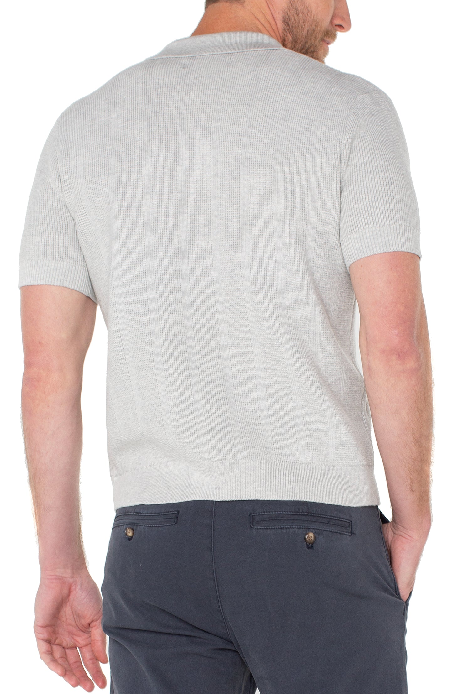 Short Sleeve Johnny Collar Sweater Polo