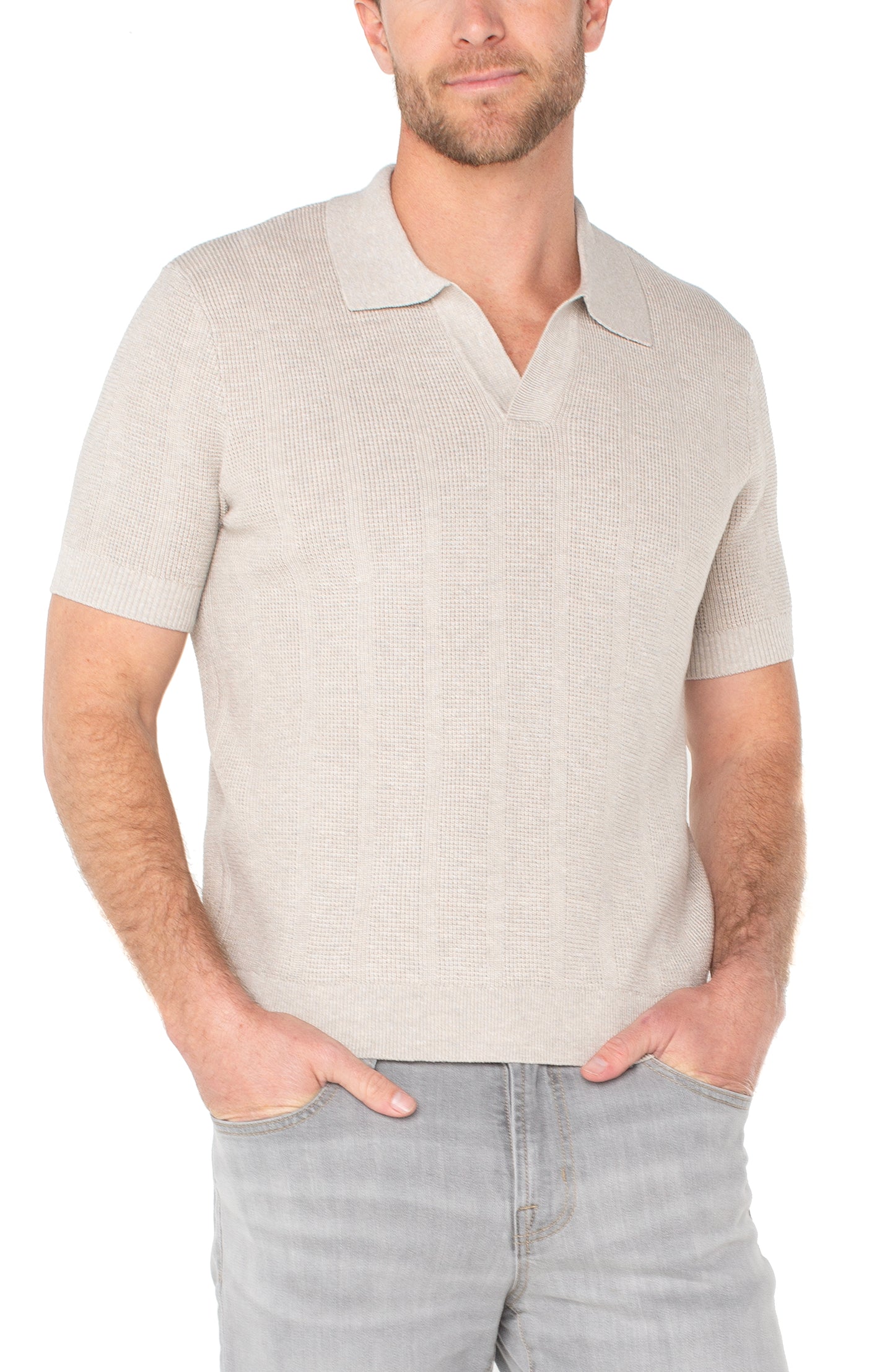 Short Sleeve Johnny Collar Sweater Polo